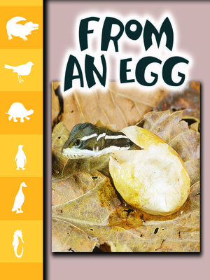 cover image of From an Egg